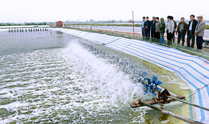 Ngành Nuôi trồng Thủy sản