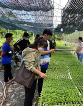 Thông báo tuyển dụng nhân viên trồng cây, chăm sóc và tạo kiểu cây cảnh